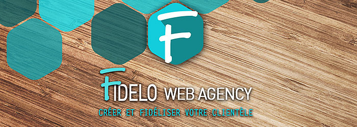 Fidelo Agency cover